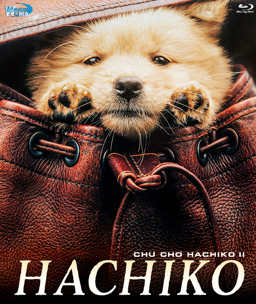 B6294. Hachiko II 2024  CHÚ CHÓ HACHIKO 2  (DTS-HD MA 7.1)